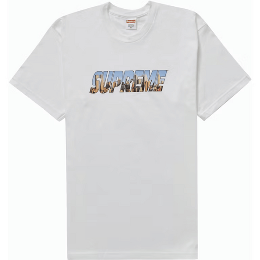 Camiseta Supreme Gotham White